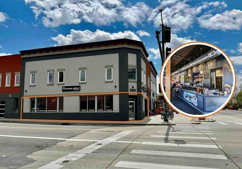 300 S Logan St, Denver, CO à louer - Photo de l’immeuble – Image 1 sur 21
