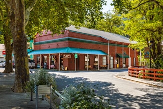 Plus de détails pour 101 Commercial St, Downieville, CA - Local commercial à vendre
