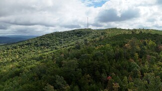 Plus de détails pour Cherokee Hills Drive, Rydal, GA - Terrain à vendre