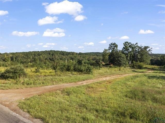 697 Airlite Rd, Marshall, TX à vendre - Photo de l’immeuble – Image 3 sur 13