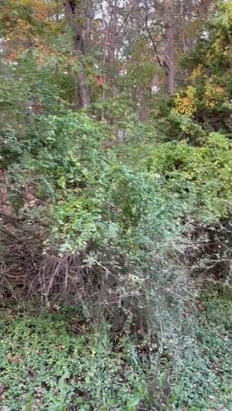 Plus de détails pour 1230 Stony Hollow Cir, East Stroudsburg, PA - Terrain à vendre