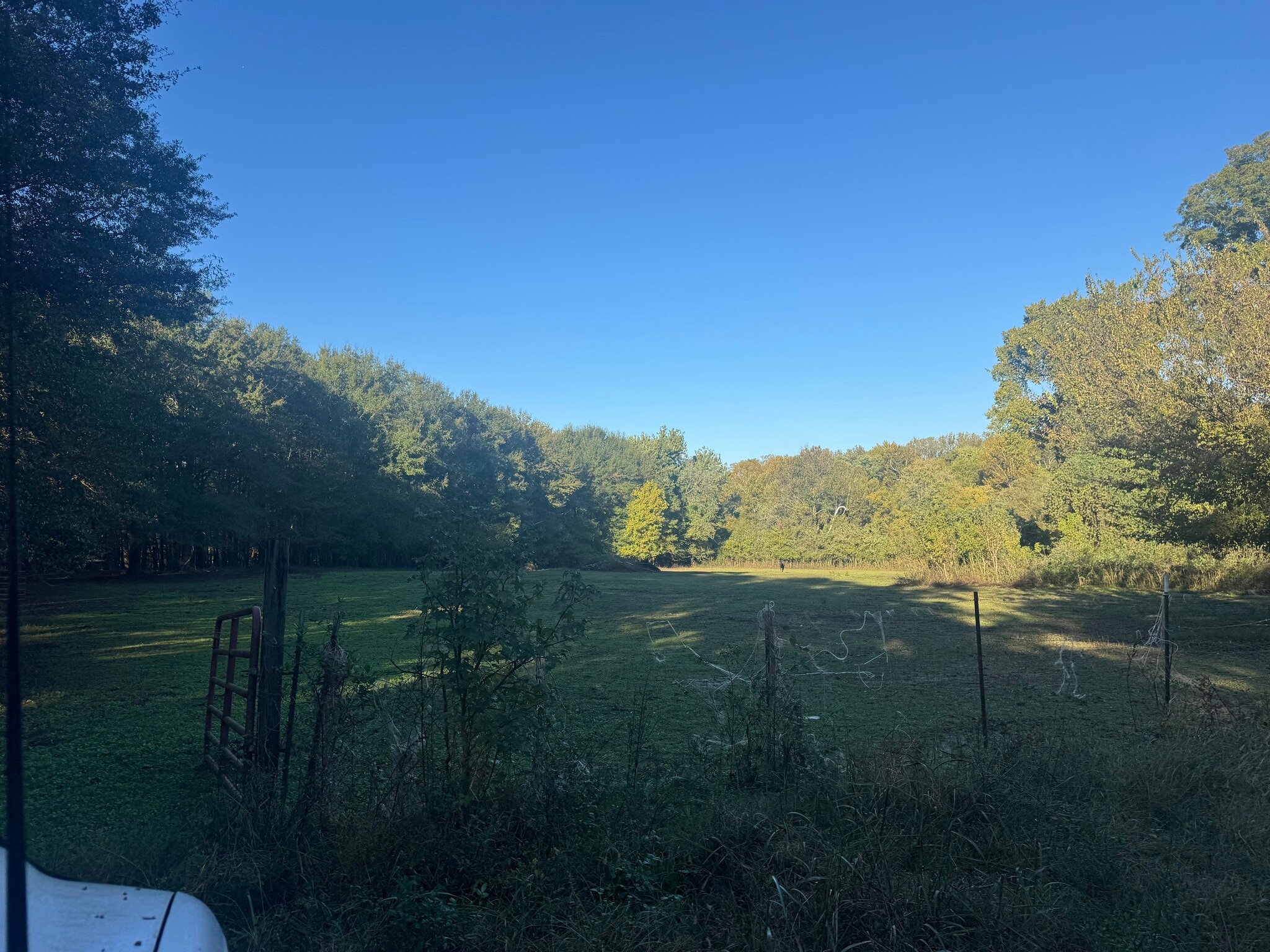 4800 Old Raleigh Millington rd, Memphis, TN à vendre Photo principale– Image 1 sur 16