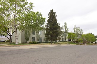 Plus de détails pour 4110 Rio Bravo Dr, El Paso, TX - Bureau à louer