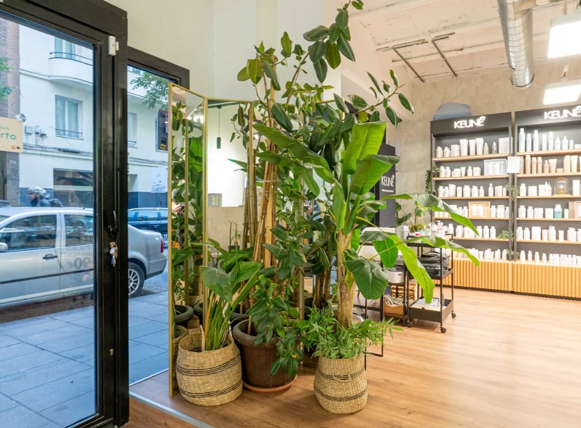 Local commercial dans Madrid, Madrid à louer Photo intérieure– Image 1 sur 5