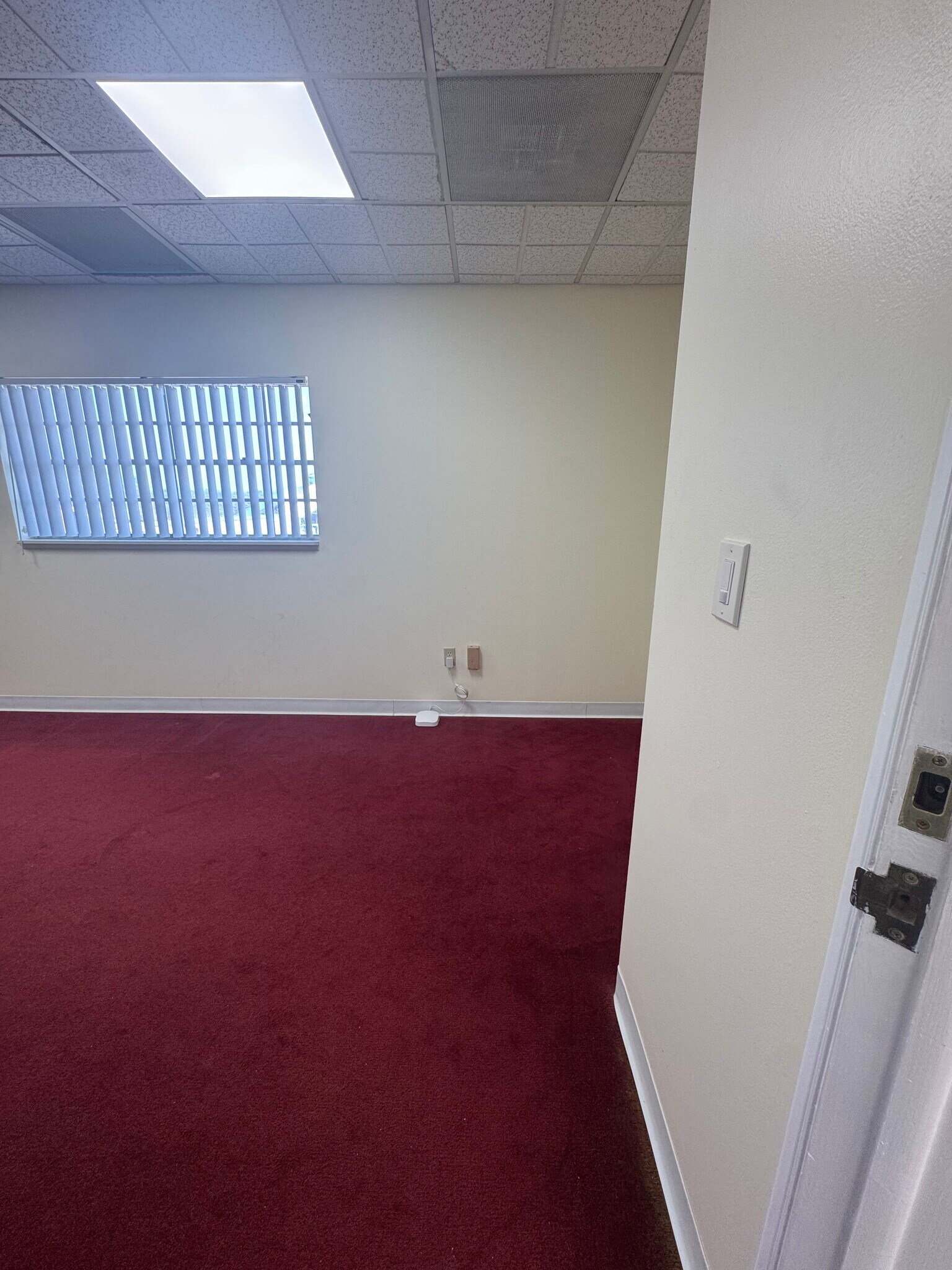 Bureaux/Médical dans Palm Harbor, FL à louer Photo intérieure– Image 1 sur 5