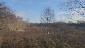 Plus de détails pour Bridgehouse, Bathgate - Terrain à louer