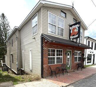 Plus de détails pour 457 William Ave, Davis, WV - Local commercial à vendre