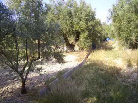 Terrain dans Calasparra, Murcia à vendre - Photo de l’immeuble – Image 2 sur 3