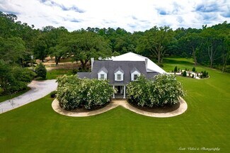 Plus de détails pour 3054 Highway 24 W, Summit, MS - Spécialisé à vendre