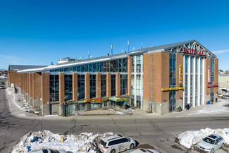 Plus de détails pour 4300 Steeles Ave E, Markham, ON - Local commercial à vendre