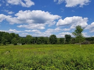 Plus de détails pour Route 55, La Grange, NY - Terrain à vendre