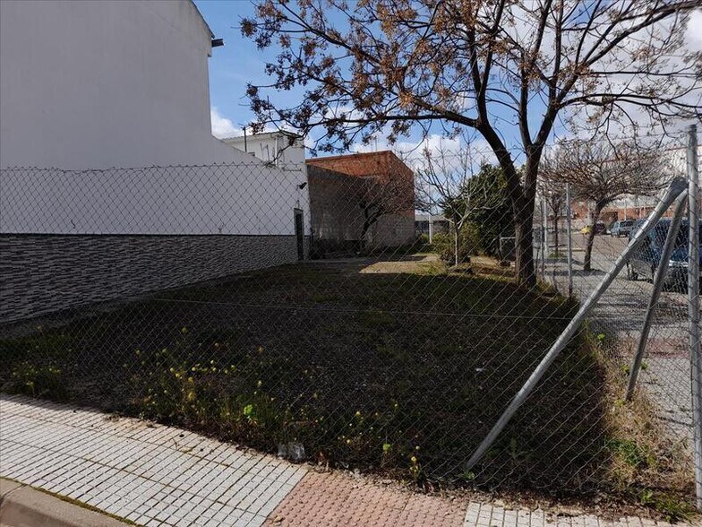 Camino Viejo de Mirandilla, Mérida, Badajoz à vendre - Photo principale – Image 2 sur 11