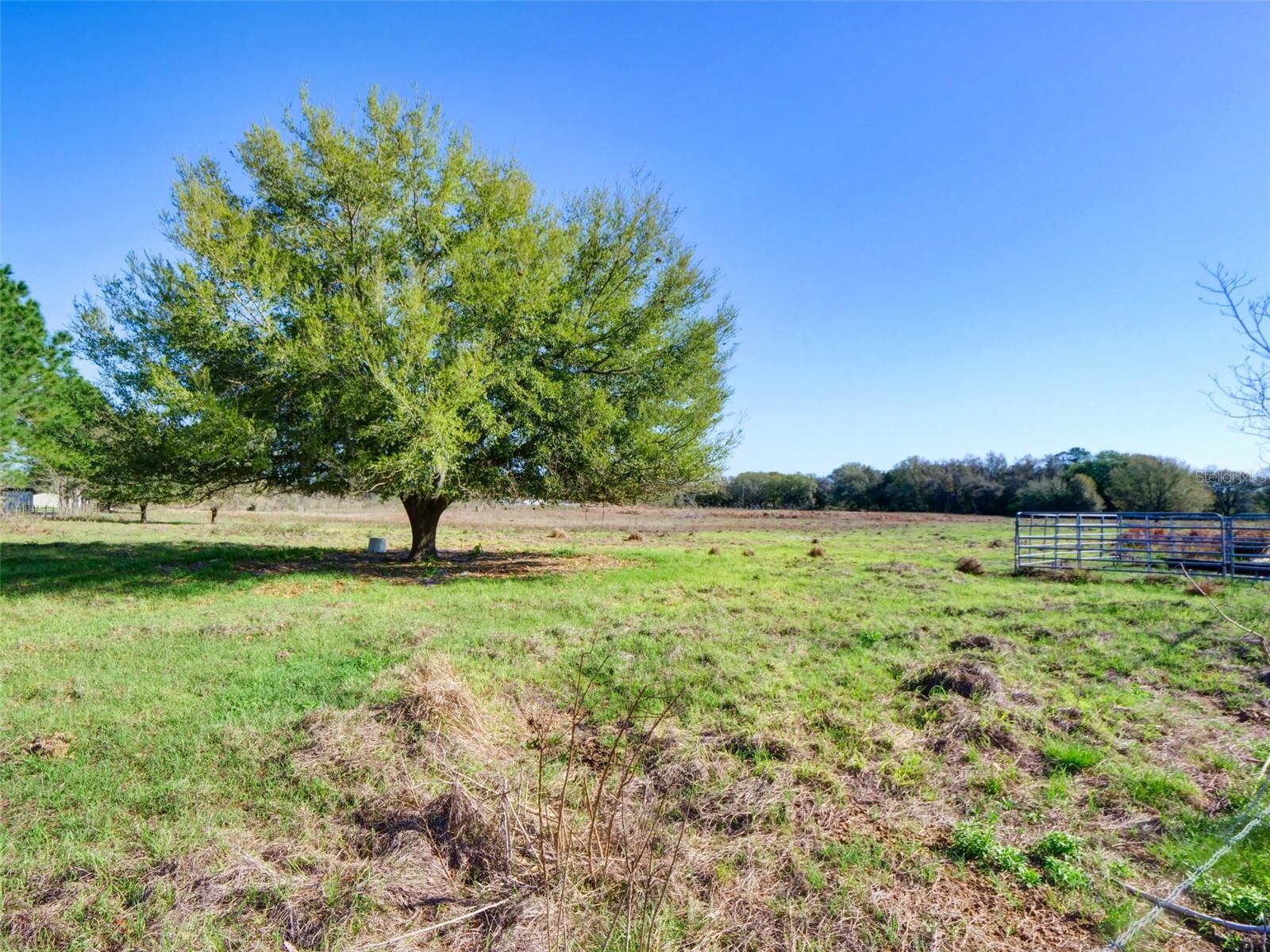 County Road 614A, Bushnell, FL à vendre Photo principale– Image 1 sur 20