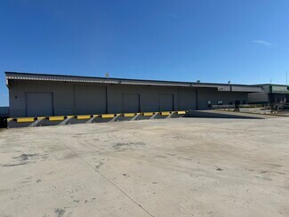Plus de détails pour 13505 Regional Dr, Laredo, TX - Industriel/Logistique à louer