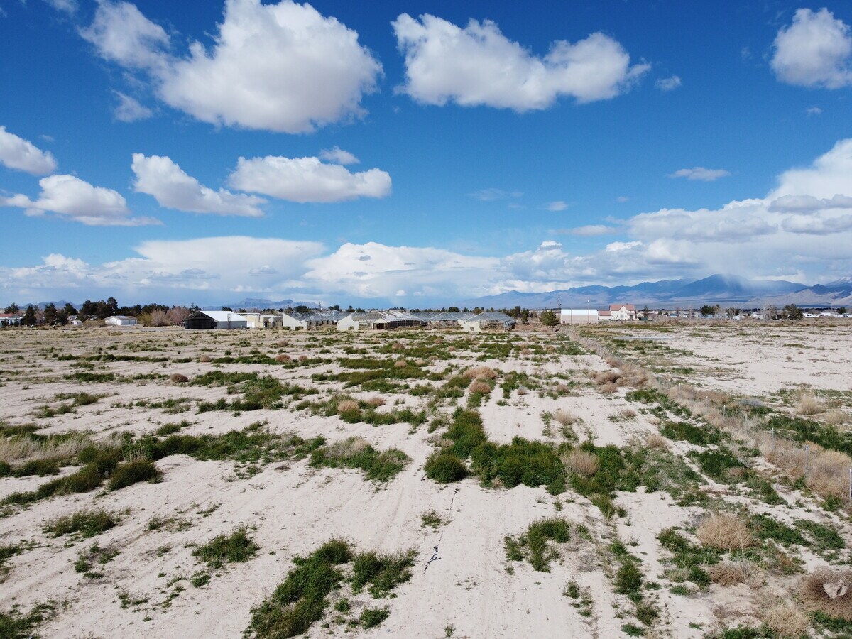 View Photo