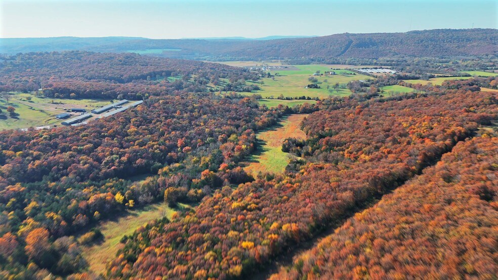 WC 136 Downing Rd rd, Elkins, AR à vendre - Vidéo sur l’annonce professionnelle – Image 2 sur 40