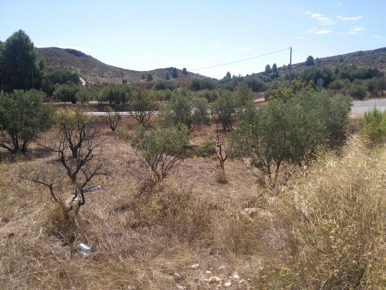 Terrain dans Calasparra, Murcia à vendre - Plan de site – Image 3 sur 7