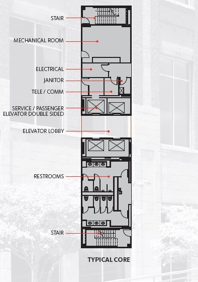 3436 Toringdon Way, Charlotte, NC à louer Autre– Image 1 sur 1
