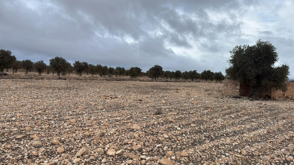 Terrain dans Yecla, Murcia à vendre - Plan de site – Image 2 sur 7