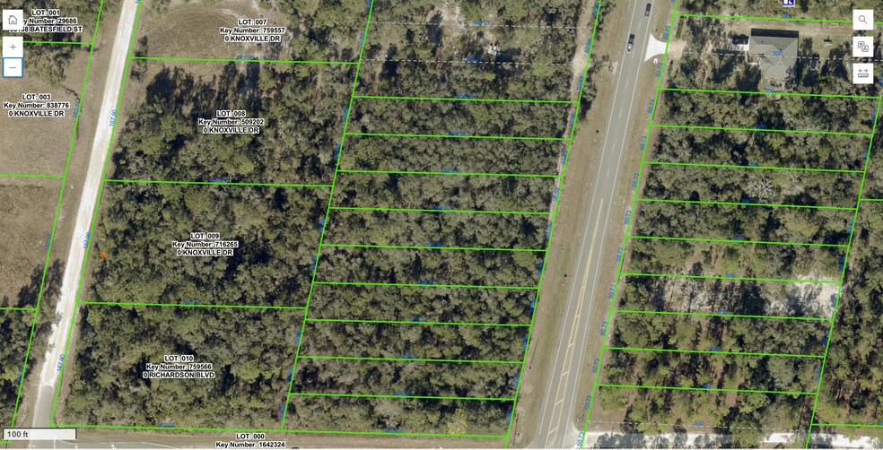 7449 Treiman Blvd, Webster, FL à vendre - Photo de l’immeuble – Image 3 sur 5