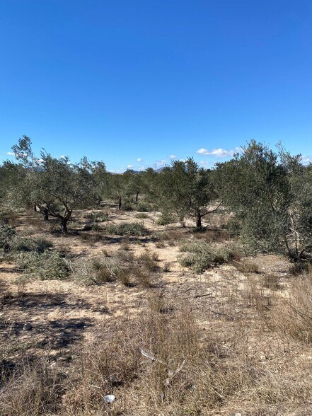 Terrain dans Monforte del Cid, Alicante à vendre - Plan de site – Image 2 sur 2