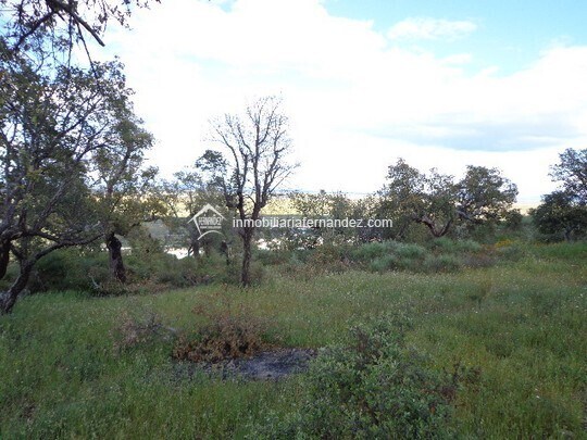 Terrain dans Sierra de Fuentes, Cáceres à vendre - Photo principale – Image 2 sur 8