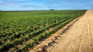 Plus de détails pour 5648 N Montpelier Road Rd, Ballico, CA - Terrain à vendre