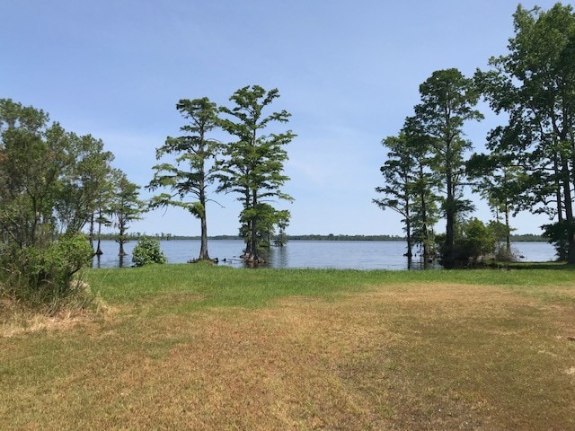 View Photo