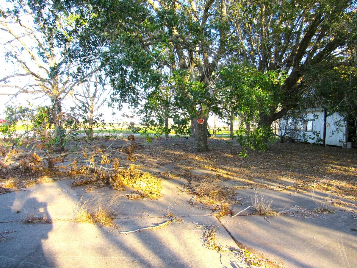 View Photo