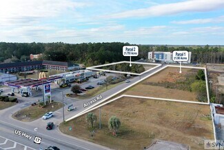 Plus de détails pour 4400 US Highway 17, Richmond Hill, GA - Terrain à vendre