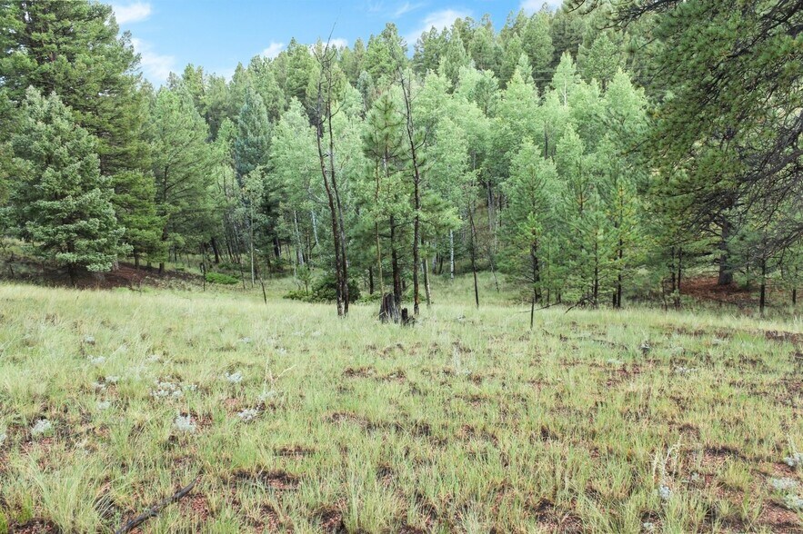 131 & 67 Lost Lake Cir, Divide, CO à vendre - Photo de l’immeuble – Image 3 sur 7