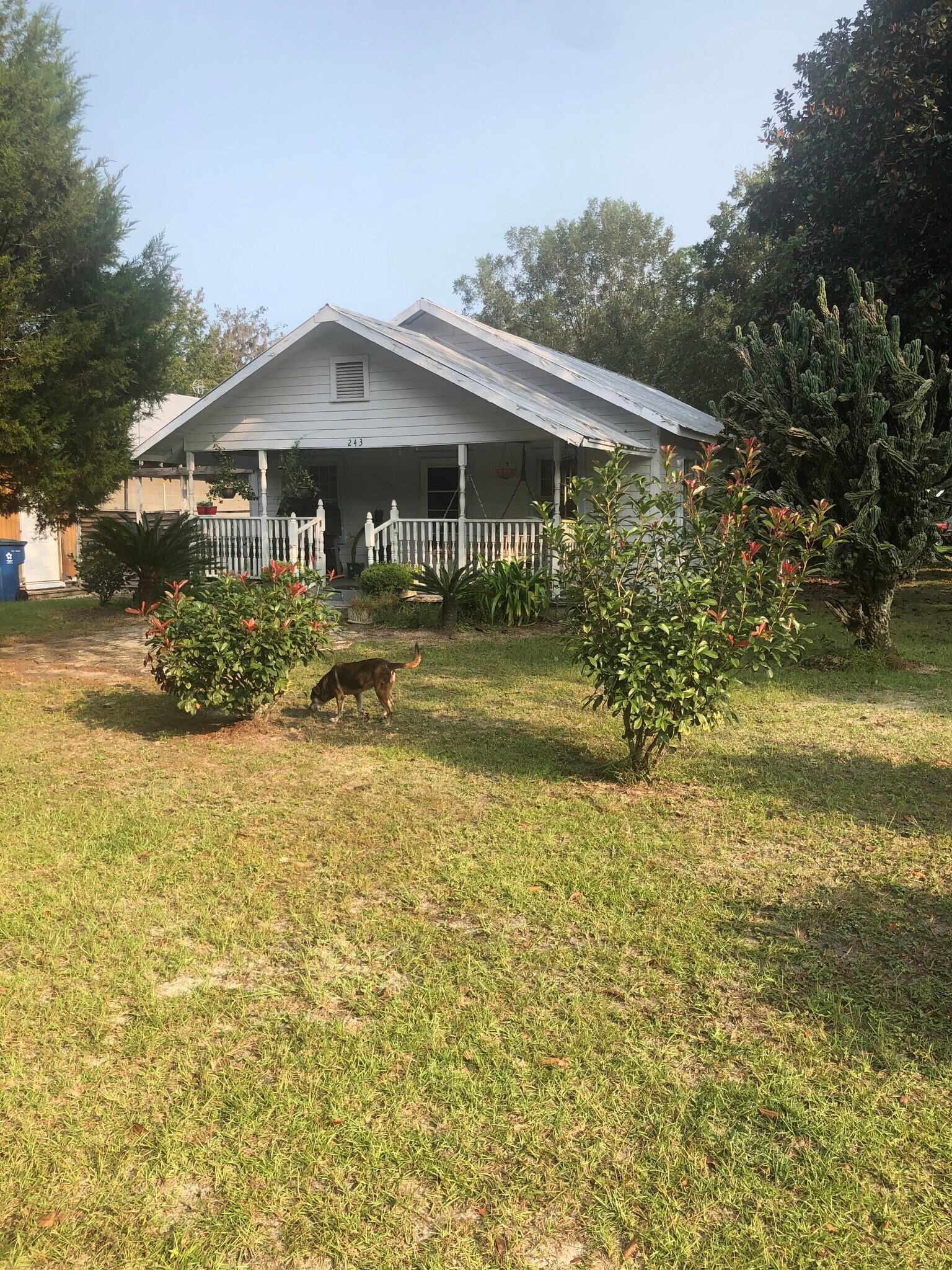 243 Ellabell Loop Rd, Ellabell, GA à louer Photo principale– Image 1 sur 9
