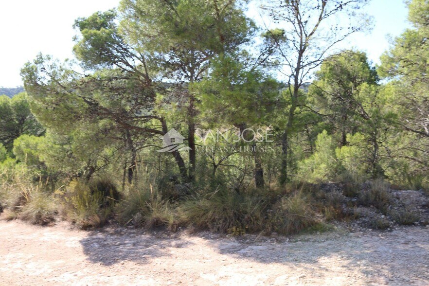 Terrain dans MONÒVER, Alicante à vendre - Photo principale – Image 2 sur 23
