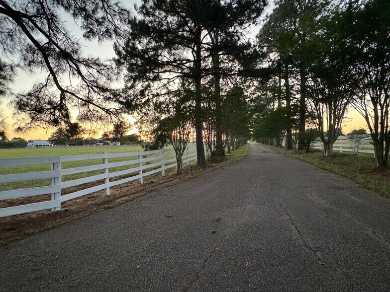 2504 SH-304, Smithville, TX à vendre - Photo de l’immeuble – Image 2 sur 17