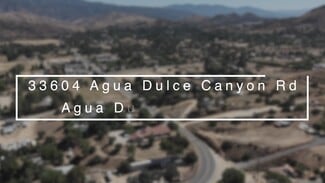 Plus de détails pour 33604 Agua Dulce Canyon Rd, Agua Dulce, CA - Local d’activités à vendre