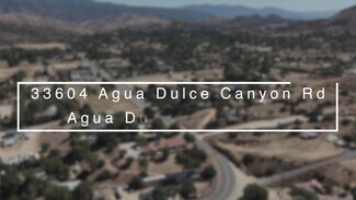 Plus de détails pour 33604 Agua Dulce Canyon Rd, Agua Dulce, CA - Local d’activités à vendre