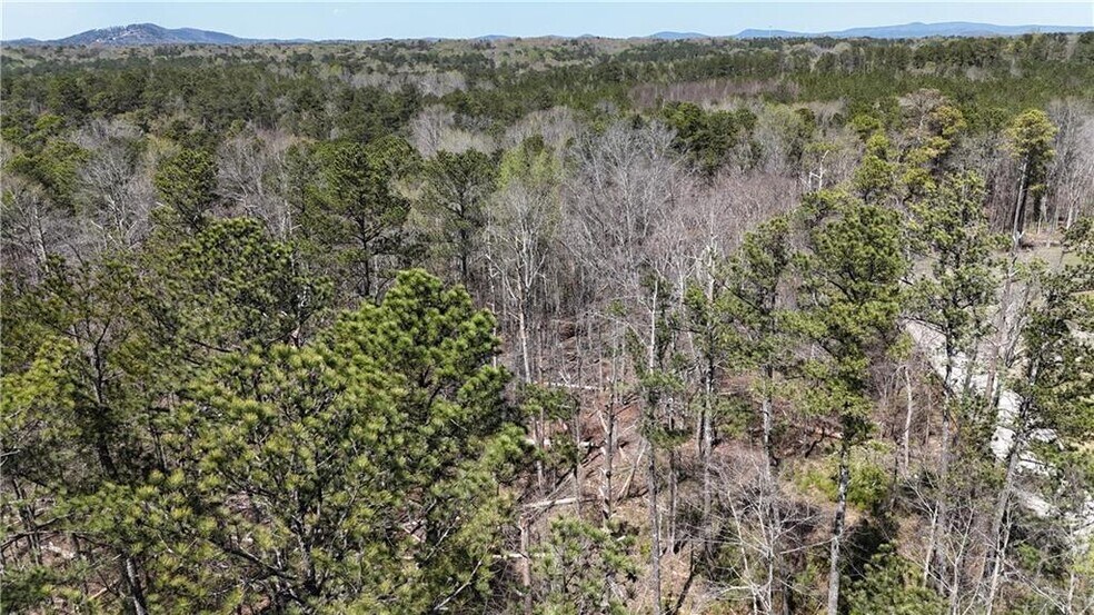 0 King Camp Rd, Acworth, GA à vendre - Photo de l’immeuble – Image 2 sur 12