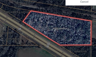 Plus de détails pour 14677 U.S. 84 Hwy, Pansey, AL - Terrain à vendre