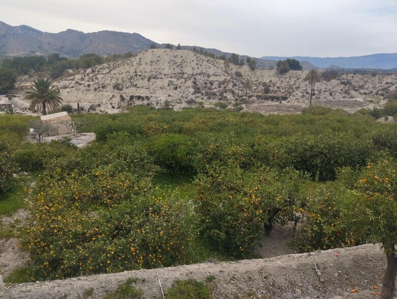 Terrain dans Ulea, Murcia à vendre - Aérien – Image 2 sur 12