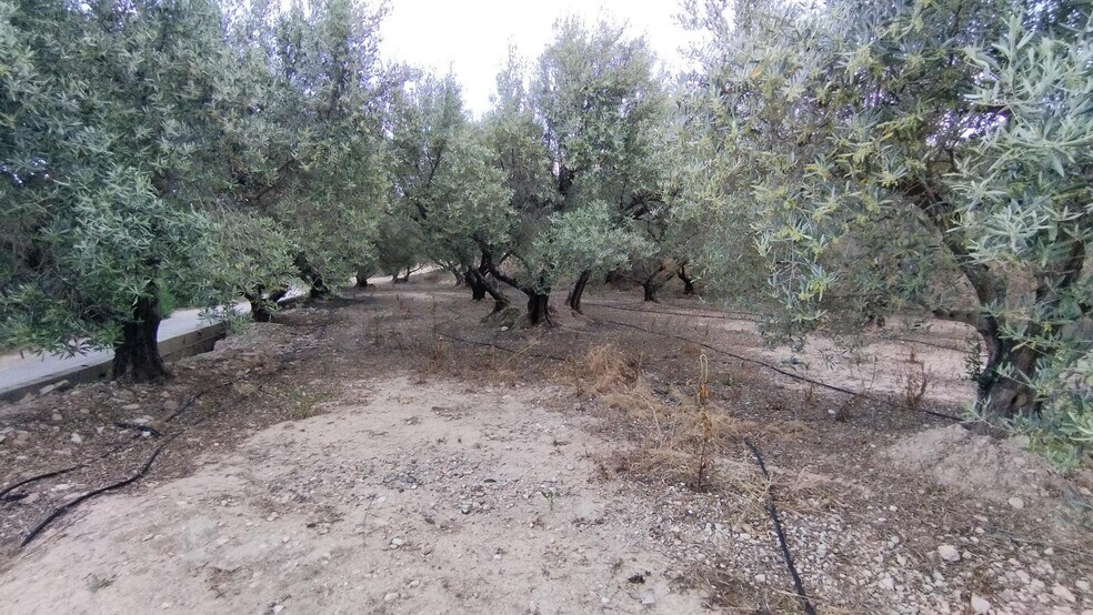 Terrain dans Calasparra à vendre - Photo de l’immeuble – Image 2 sur 16