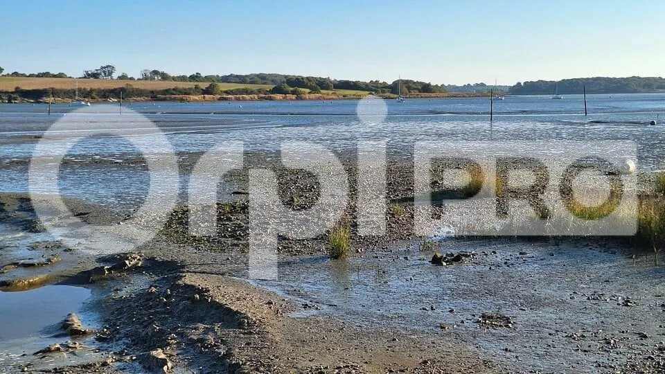 Terrain dans Pénestin à vendre - Photo de l’immeuble – Image 1 sur 6