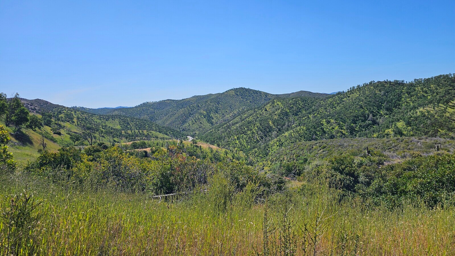 View Photo