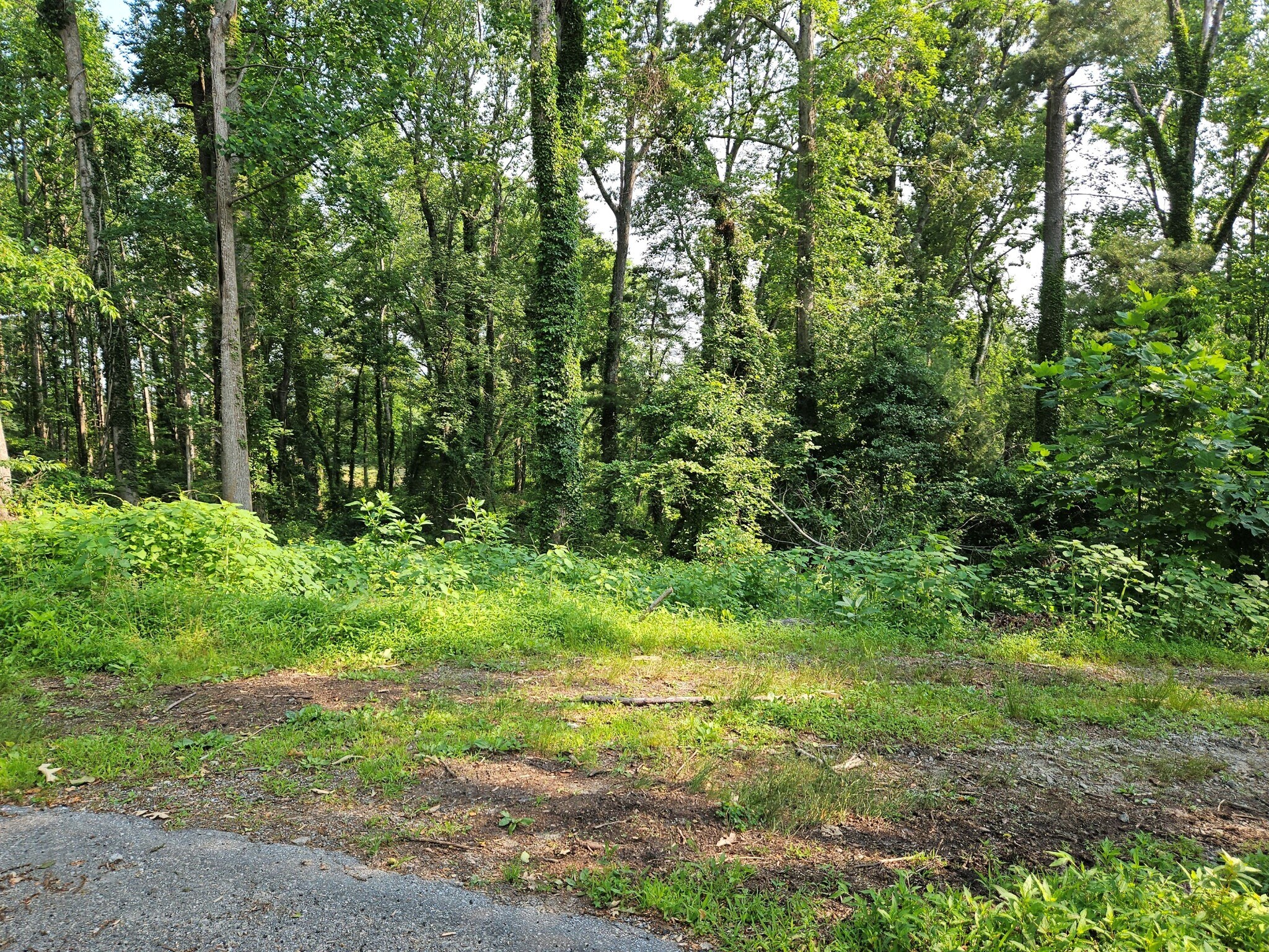3826 Asheville Hwy, Hendersonville, NC à vendre Photo de l’immeuble– Image 1 sur 6