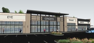 Plus de détails pour TPC Town Plaza, San Antonio, TX - Local commercial à louer