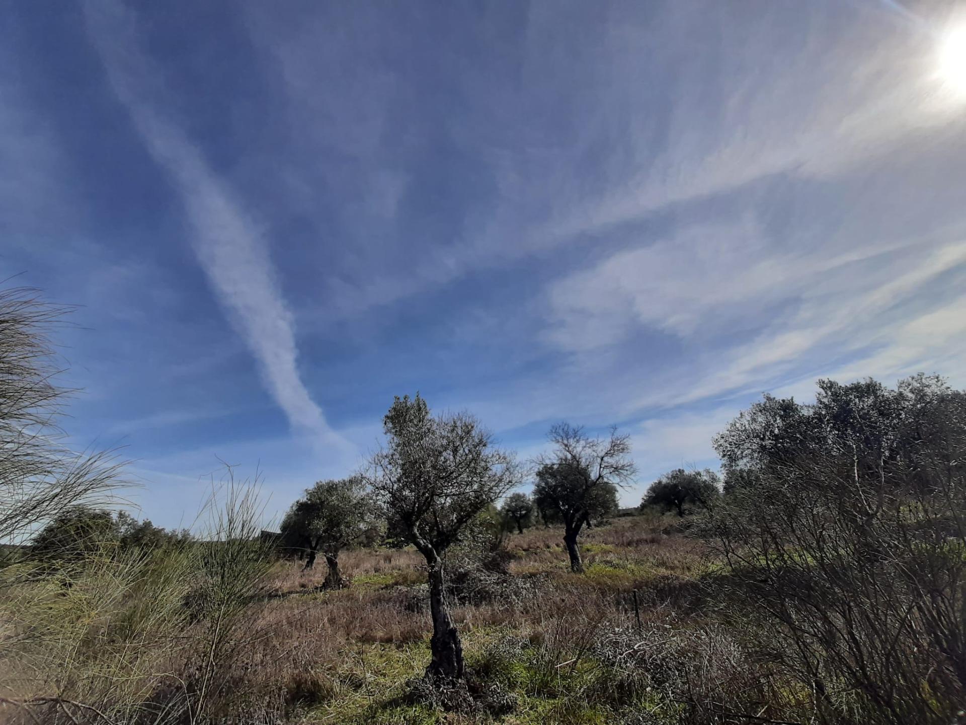 Terrain dans Cáceres, Cáceres à vendre Photo principale– Image 1 sur 3