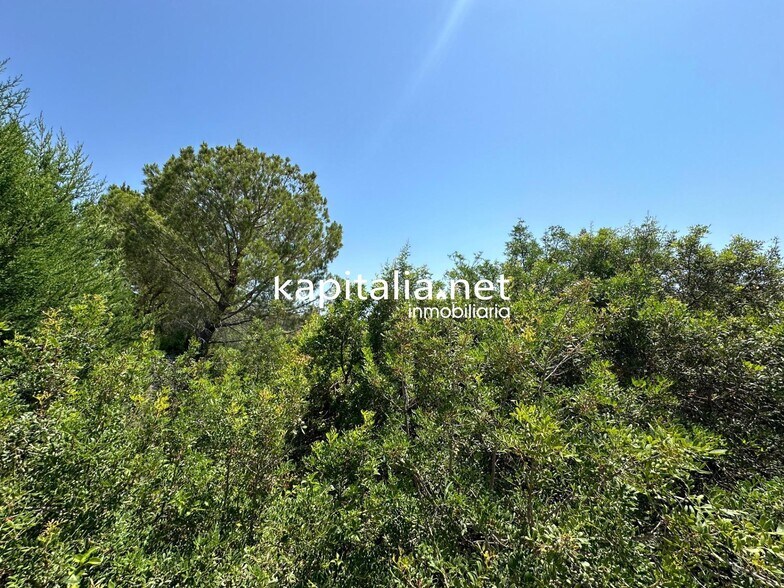 Terrain dans Alberic, Valencia à vendre - Photo principale – Image 3 sur 4