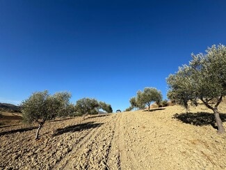 Plus de détails pour Terrain à vendre