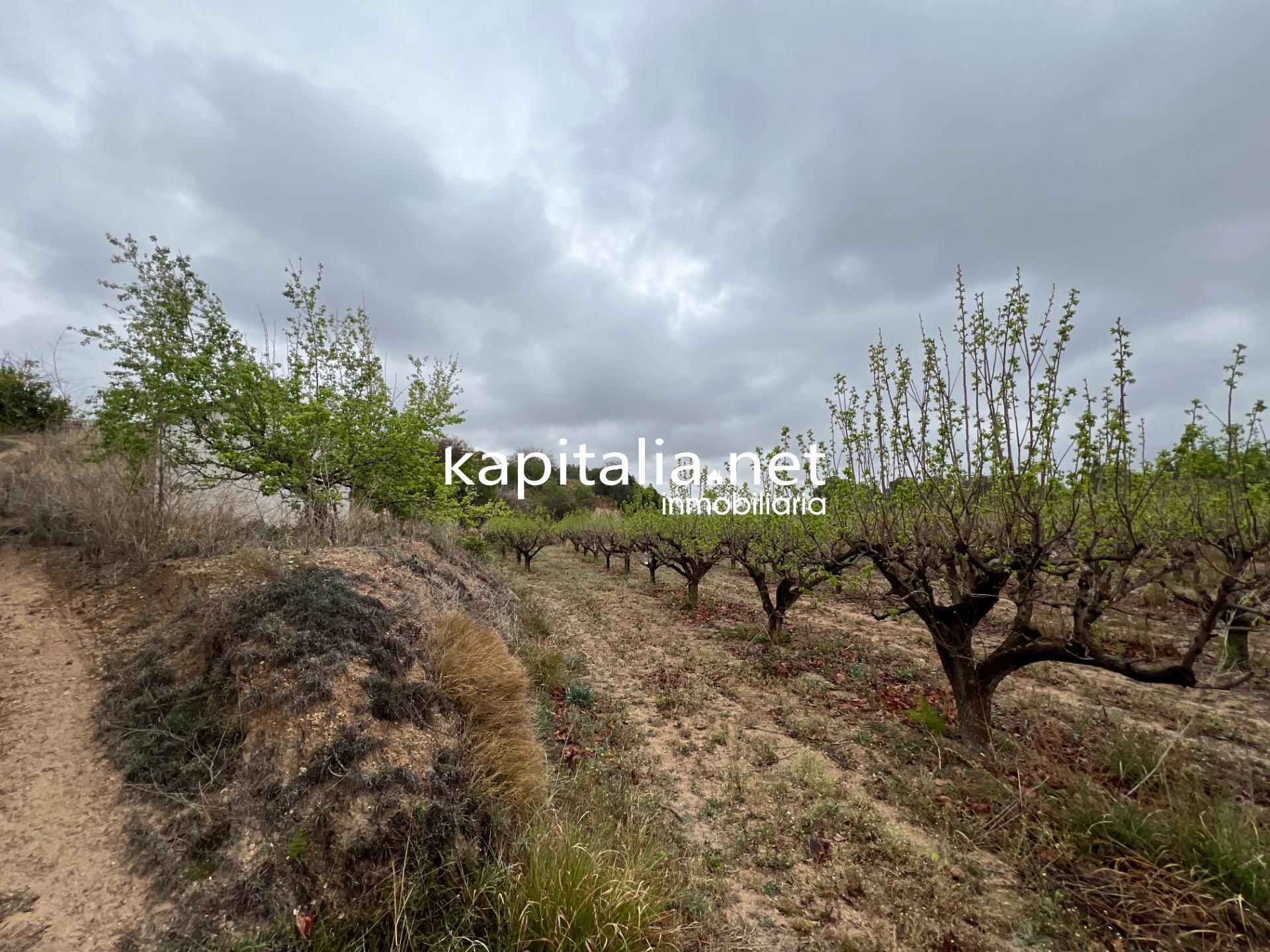 Terrain dans Albaida, Valencia à vendre Photo principale– Image 1 sur 4
