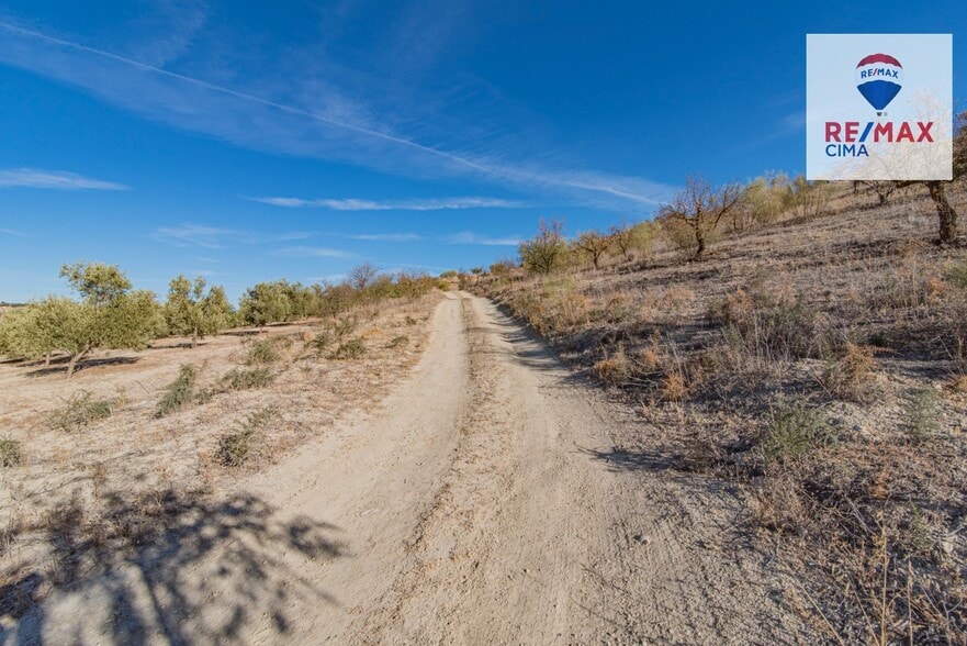 de Polígono Parcial, 2, Alhama de Granada, Granada à vendre - Photo de l’immeuble – Image 2 sur 55
