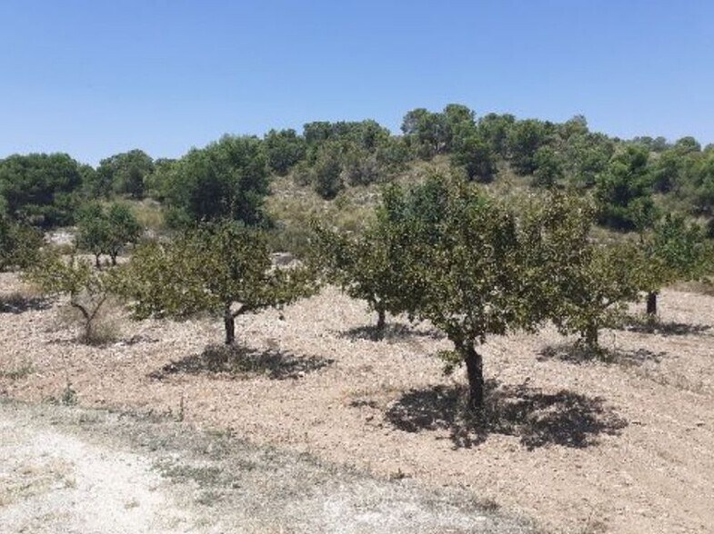 Paraje Sopaire y Cañada de la Leña, 3, Abanilla, Murcia à louer - Photo de l’immeuble – Image 2 sur 14